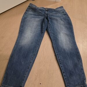 Maurices Dark Blue Skinny Jeans